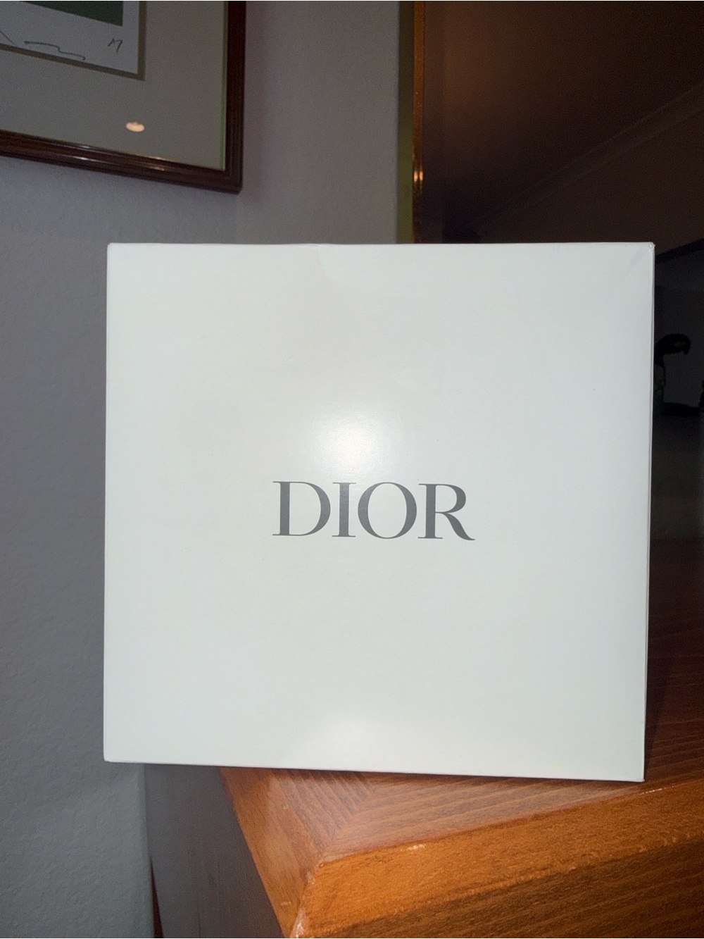 Dior Cream Round Mesh 🦋 Pouch with Gold CD Zip - Picture 12 of 13
